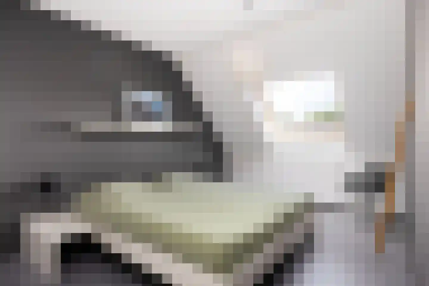 De Pol 73 Doesburg thumbnail 34