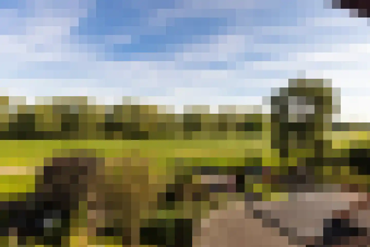 De Pol 73 Doesburg thumbnail 41