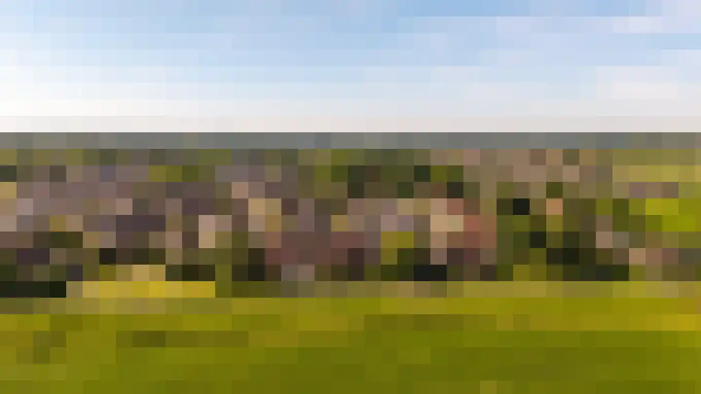 De Pol 73 Doesburg thumbnail 46