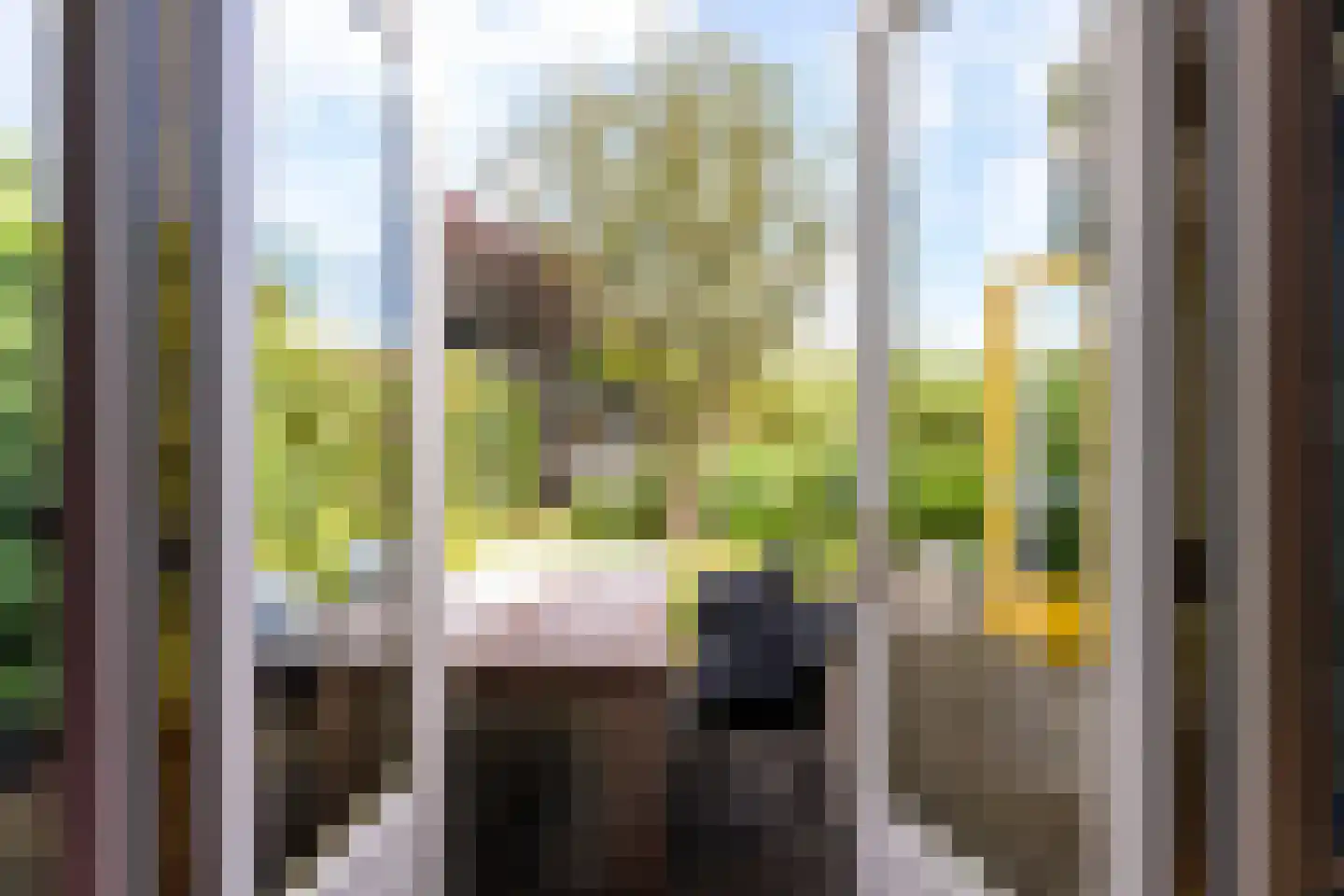 De Pol 73 Doesburg thumbnail 5