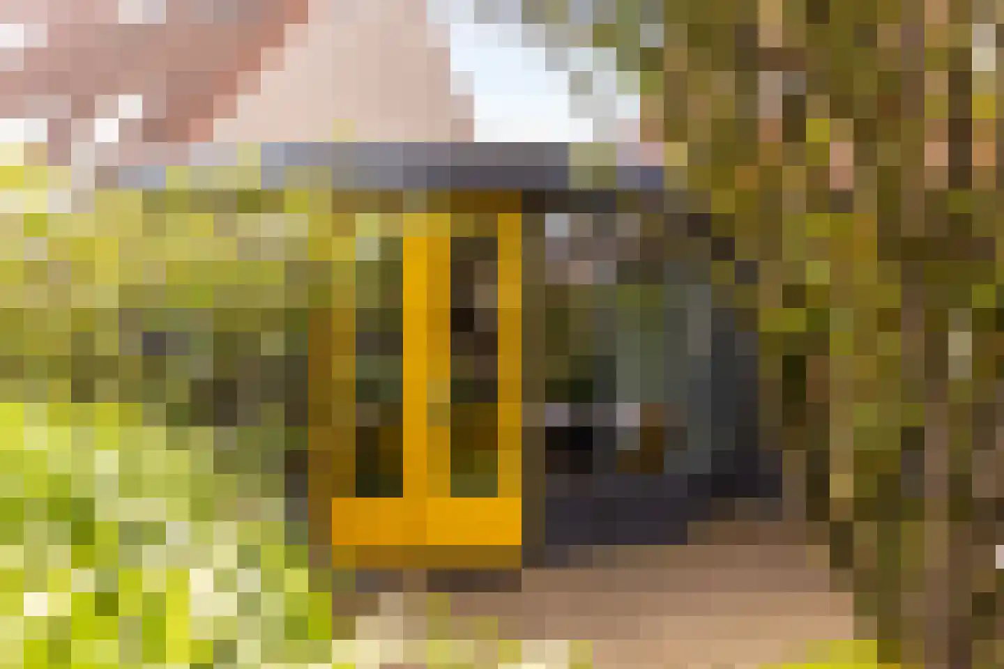 De Pol 73 Doesburg thumbnail 6