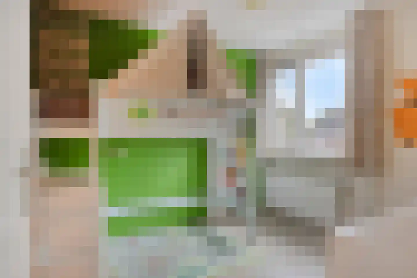 De Pol 87 Doesburg thumbnail 18