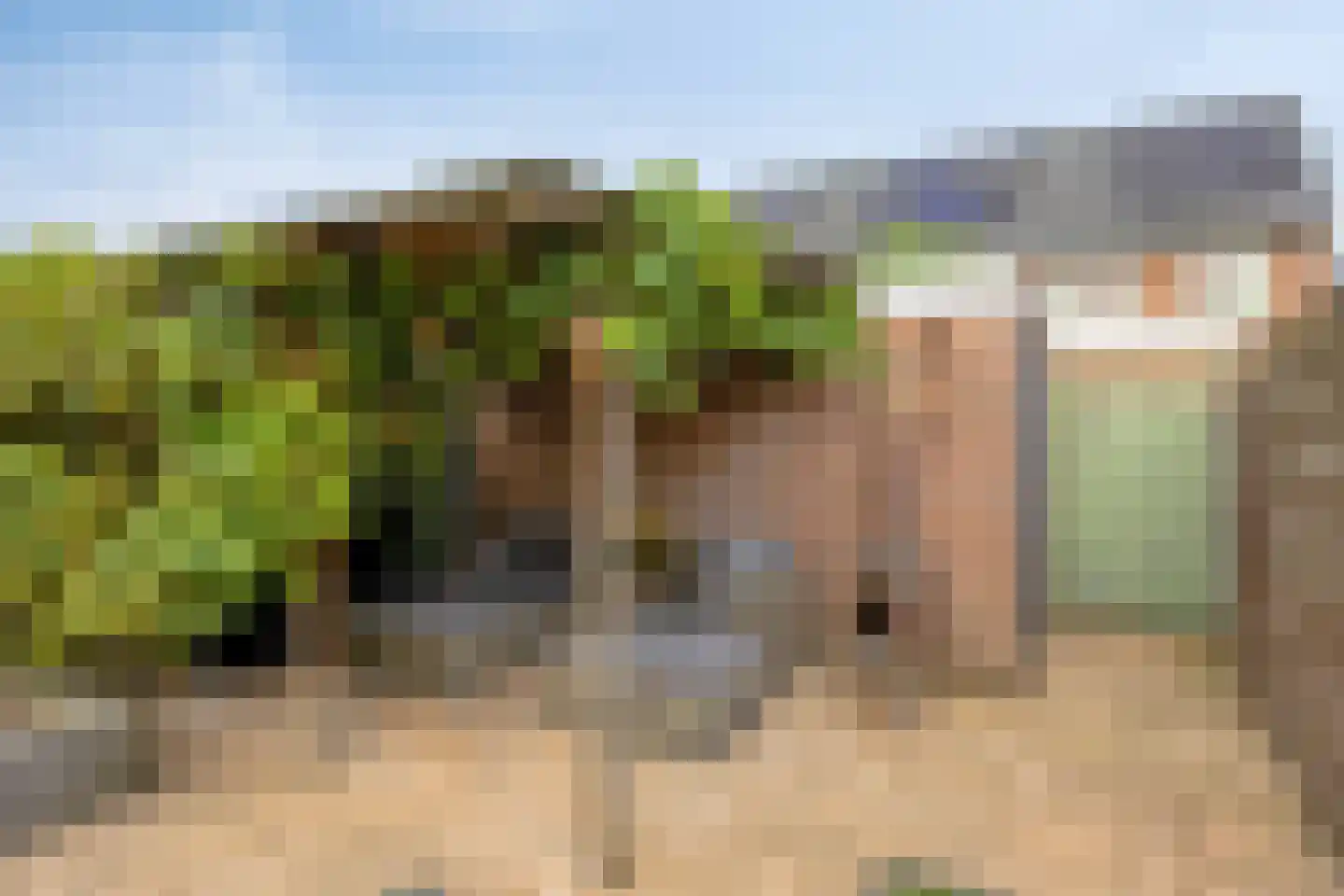 De Pol 87 Doesburg thumbnail 28