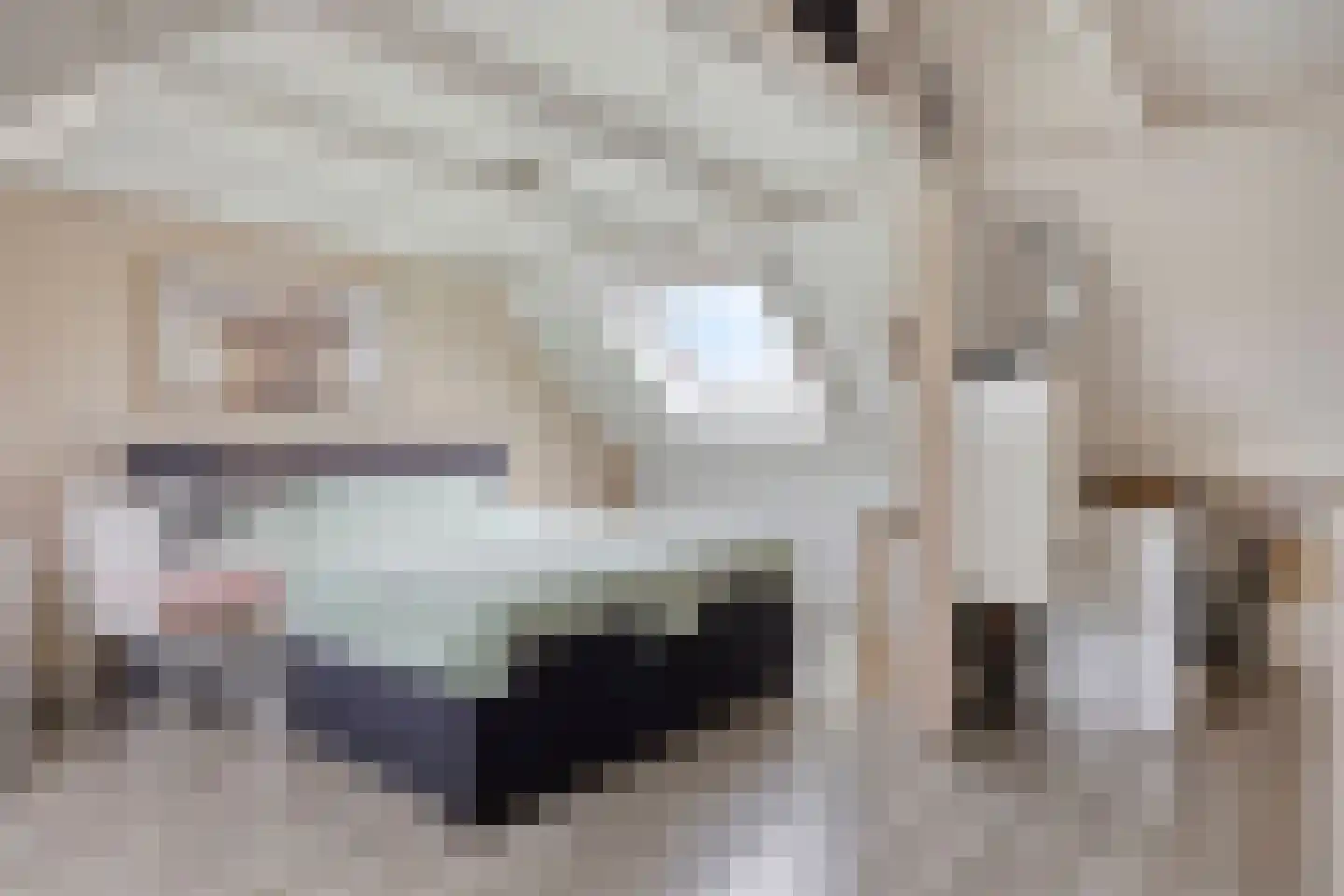 De Pol 87 Doesburg thumbnail 5
