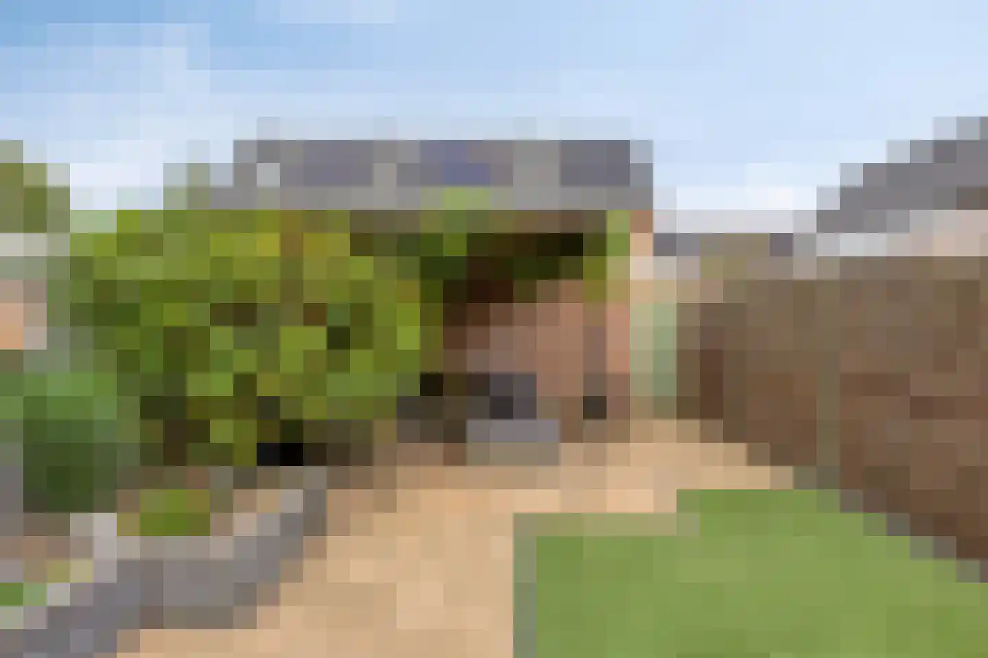 De Pol 87 Doesburg thumbnail 6