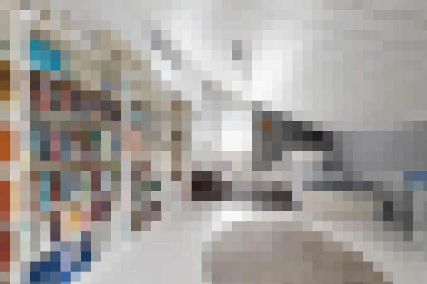 de Polderstraat 106 Heijningen thumbnail 46