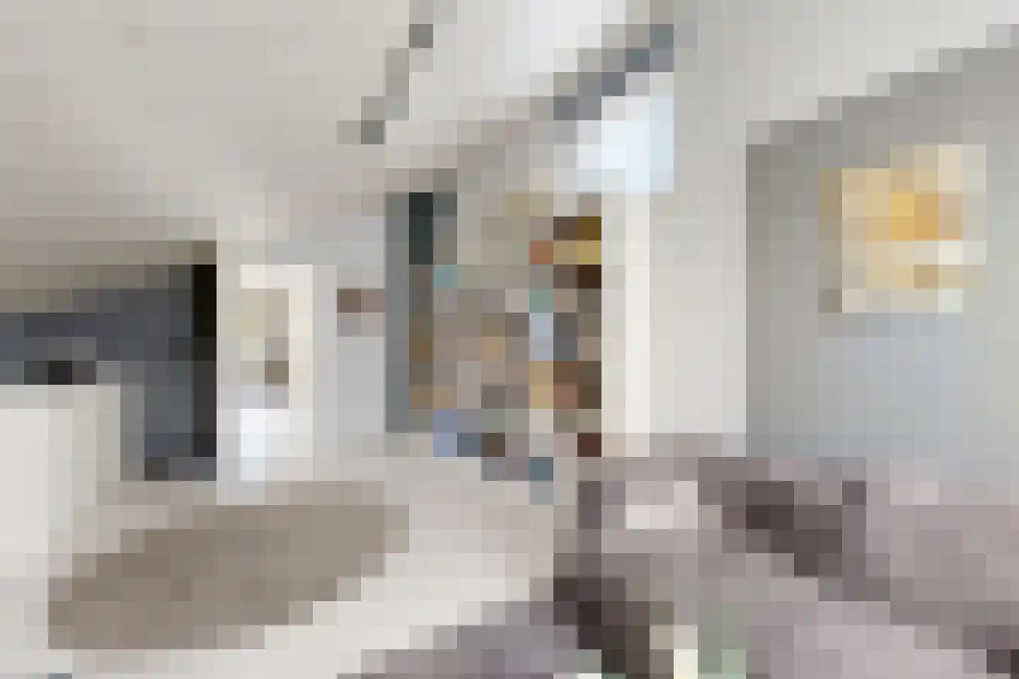 de Polderstraat 106 Heijningen thumbnail 49