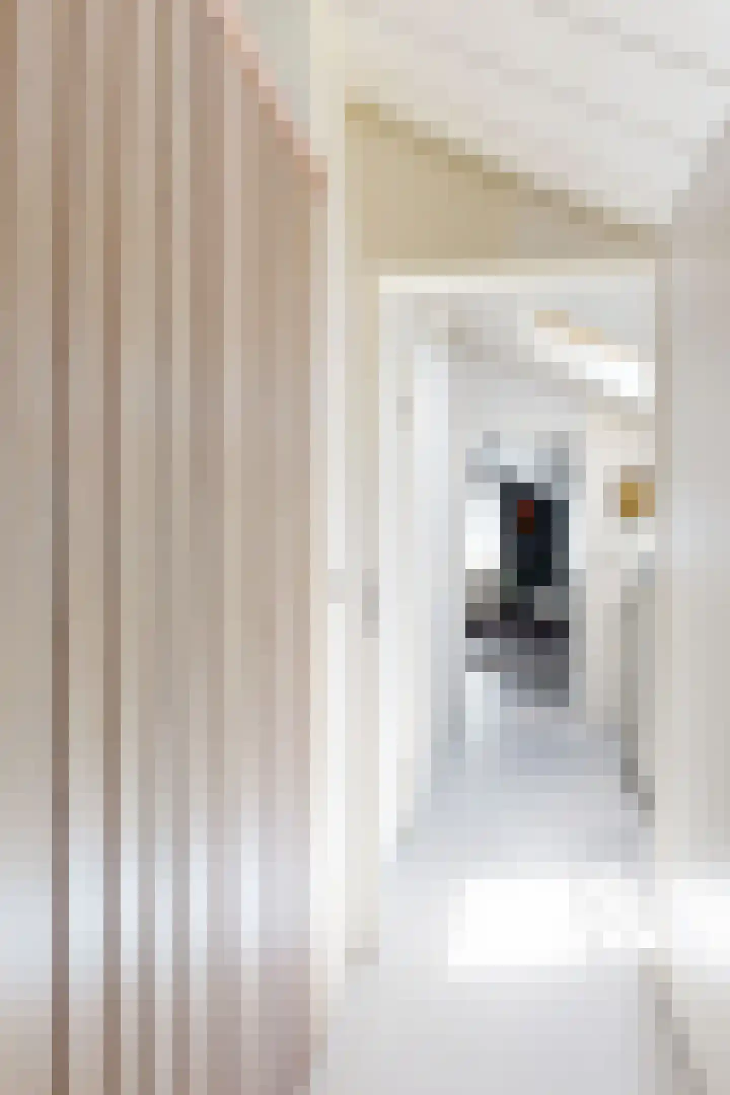 de Polderstraat 106 Heijningen thumbnail 51
