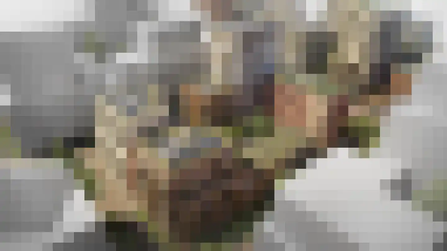 De Polderwerker 157 Utrecht thumbnail 12