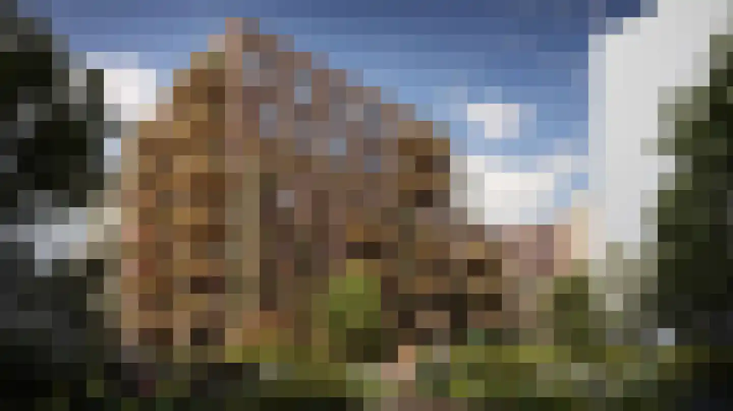 De Polderwerker 2 Utrecht thumbnail 12