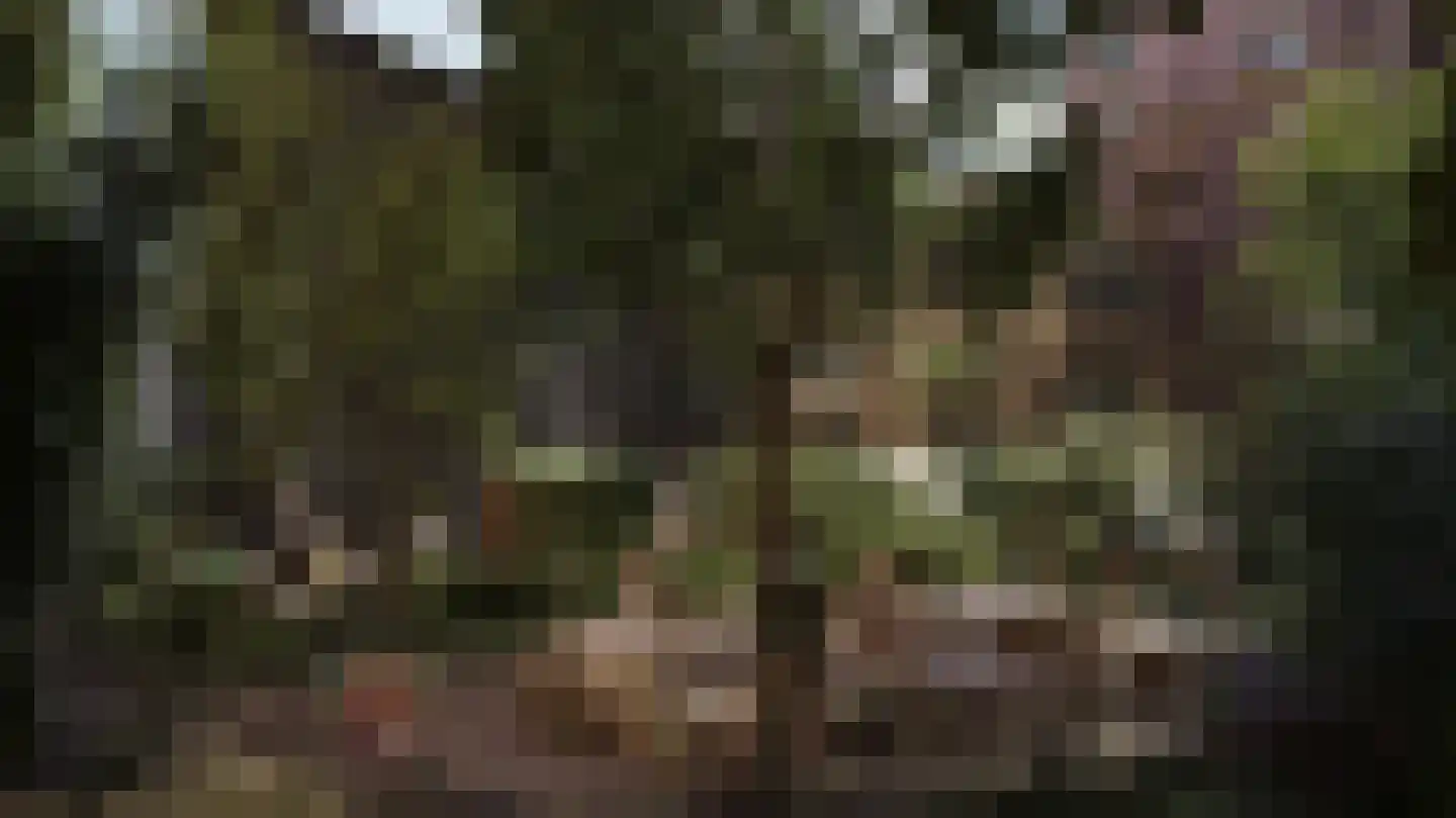 De Polderwerker 4 Utrecht thumbnail 6