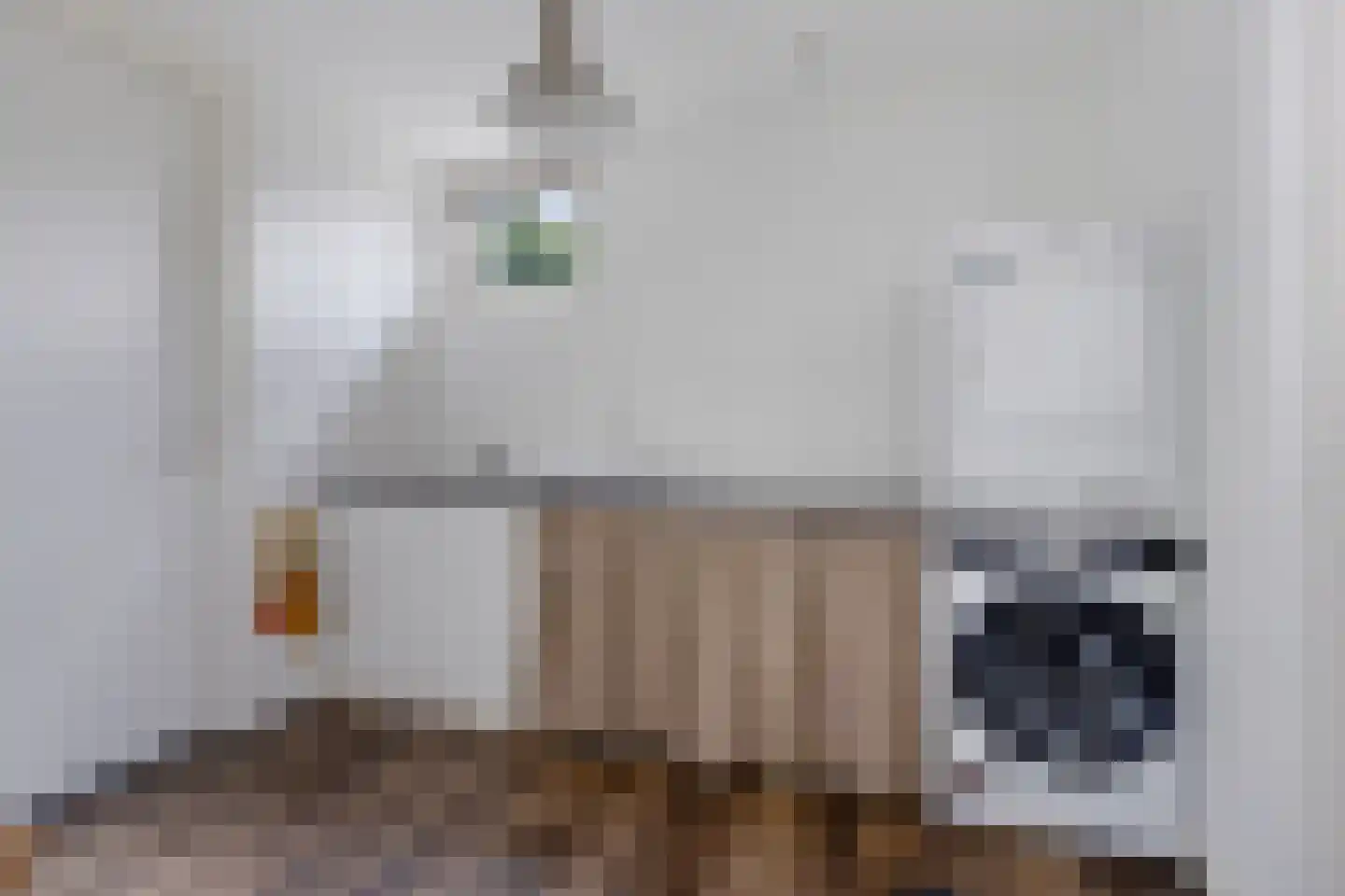 De Pôle 3 Gaastmeer thumbnail 23