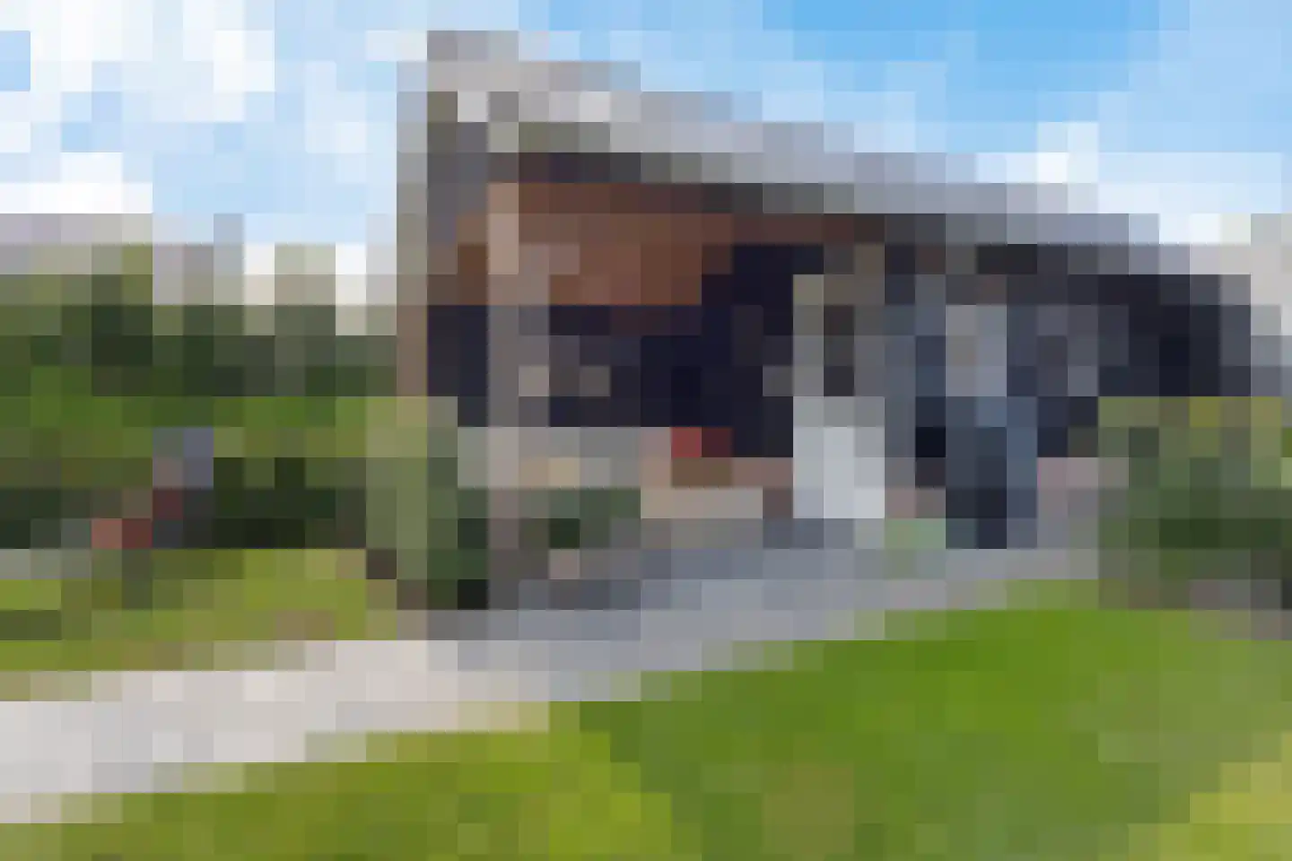 De Pôle 3 Gaastmeer thumbnail 6