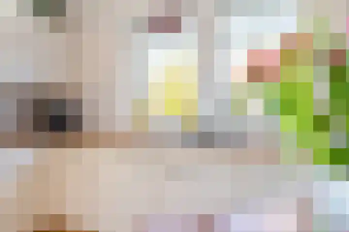 de Pôle 6 Sneek thumbnail 13