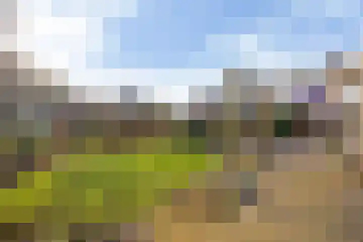 de Pôle 6 Sneek thumbnail 24