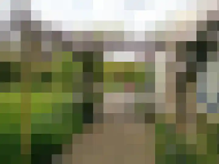 de Pôle 6 Sneek thumbnail 25