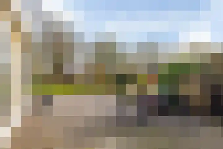 de Pôle 6 Sneek thumbnail 27