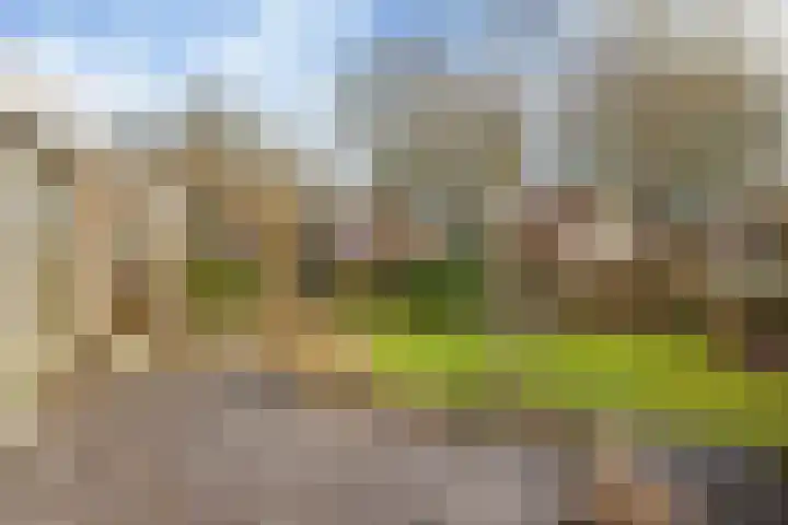 de Pôle 6 Sneek thumbnail 29