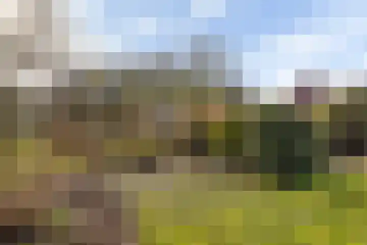 de Pôle 6 Sneek thumbnail 30