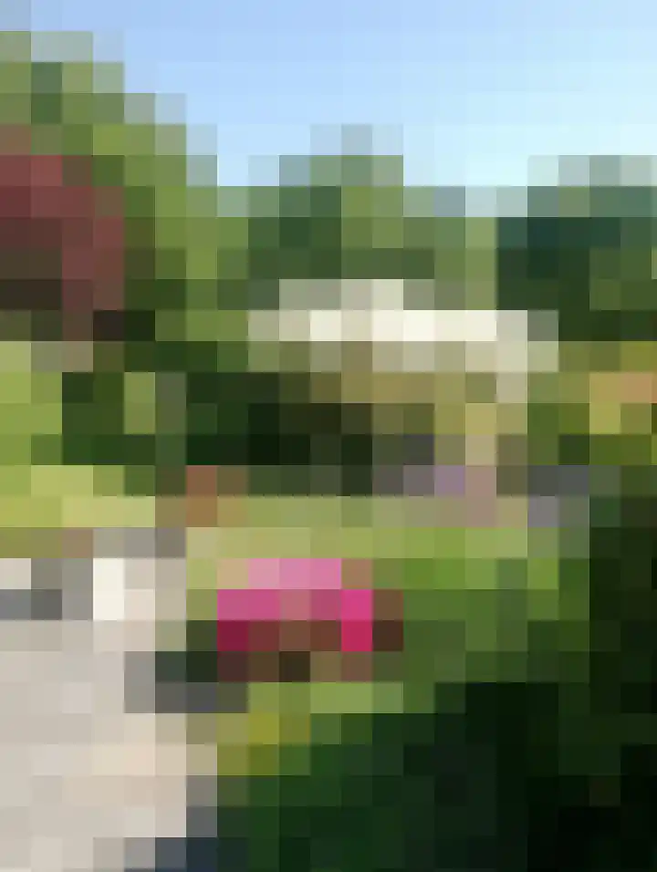 de Pôle 6 Sneek thumbnail 32