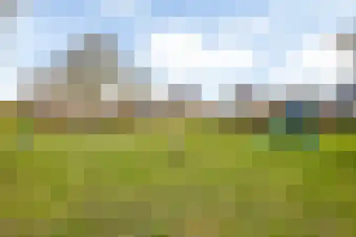 de Pôle 6 Sneek thumbnail 50