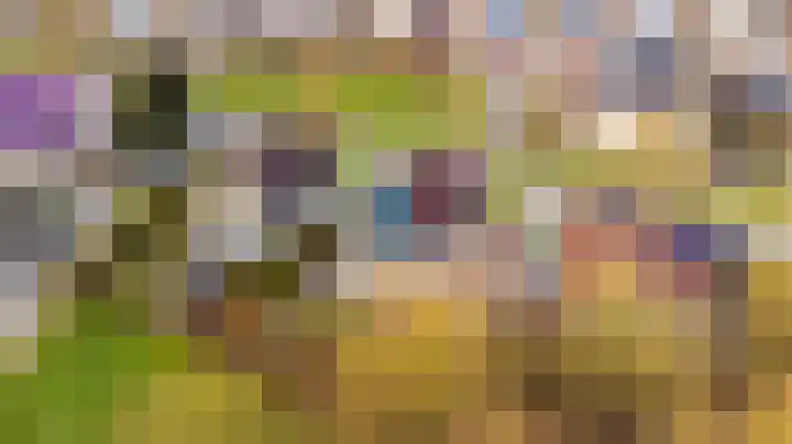 de Pôle 6 Sneek thumbnail 56