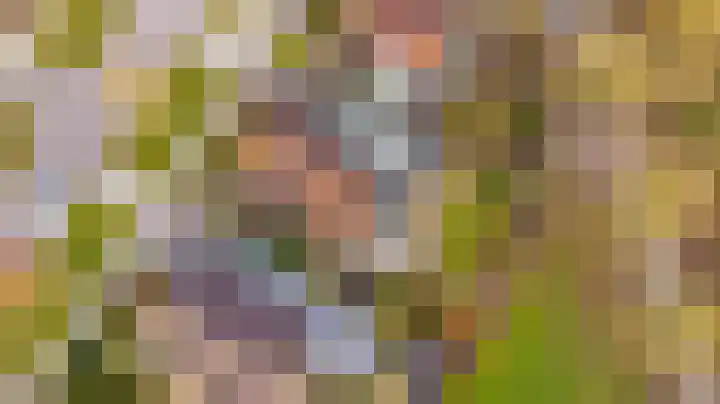 de Pôle 6 Sneek thumbnail 59