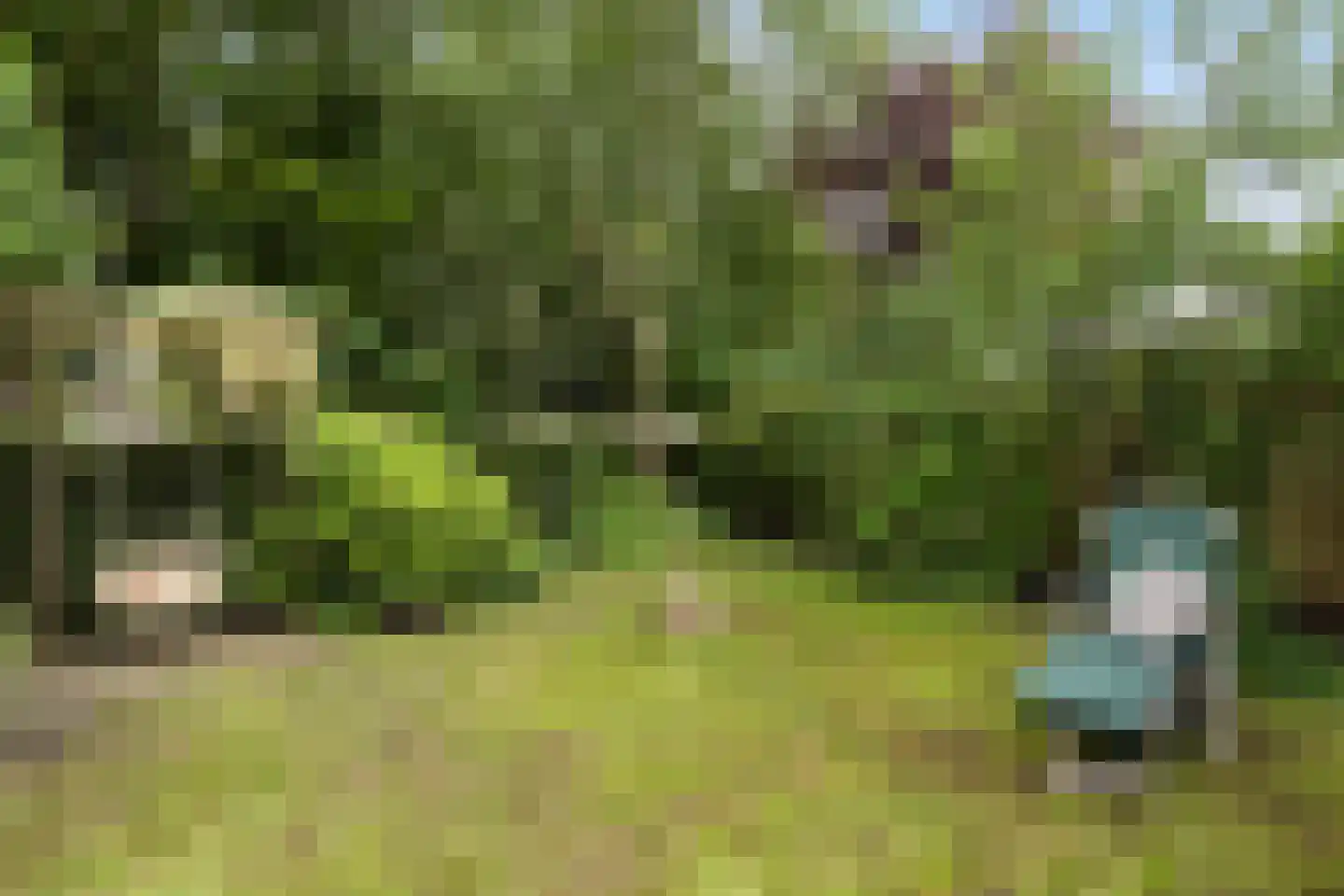 de Pôle 8 Sneek thumbnail 8