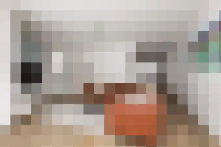 de Pôle 9 Sneek thumbnail 10