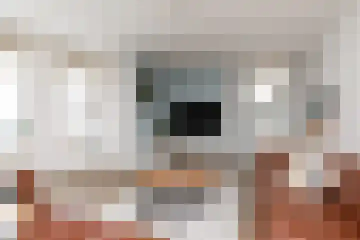 de Pôle 9 Sneek thumbnail 12