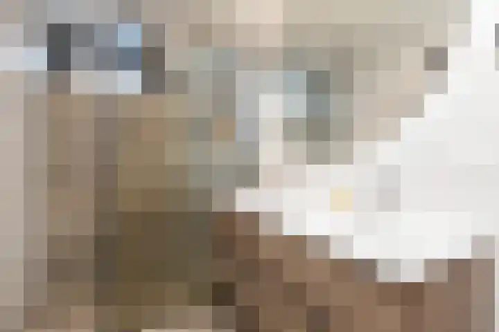 de Pôle 9 Sneek thumbnail 25