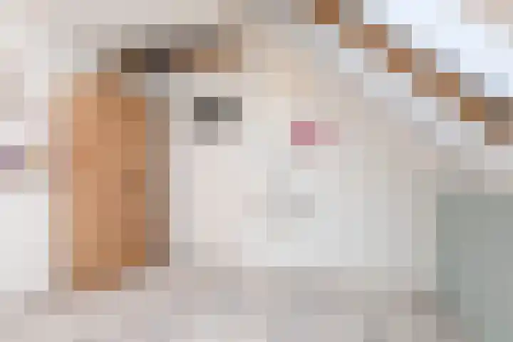 de Pôle 9 Sneek thumbnail 30