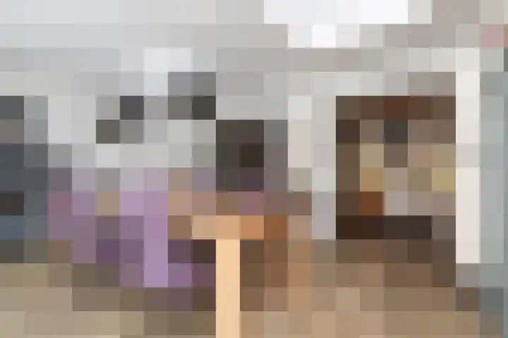 de Pôle 9 Sneek thumbnail 5