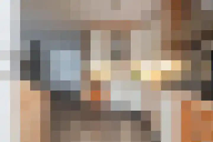 de Pôle 9 Sneek thumbnail 6