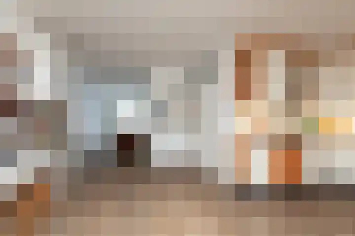 de Pôle 9 Sneek thumbnail 7