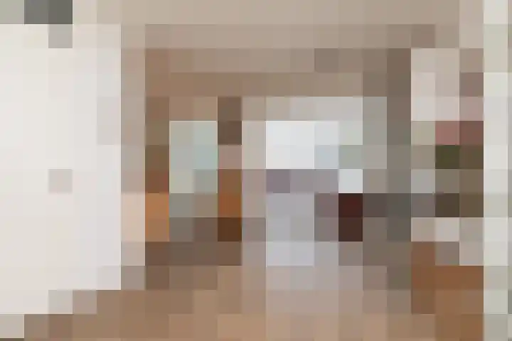 de Pôle 9 Sneek thumbnail 9