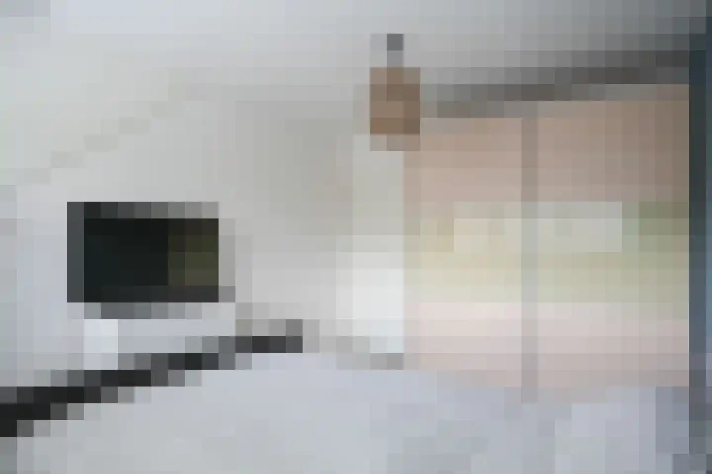 De Polenkamp 11 Horssen thumbnail 24