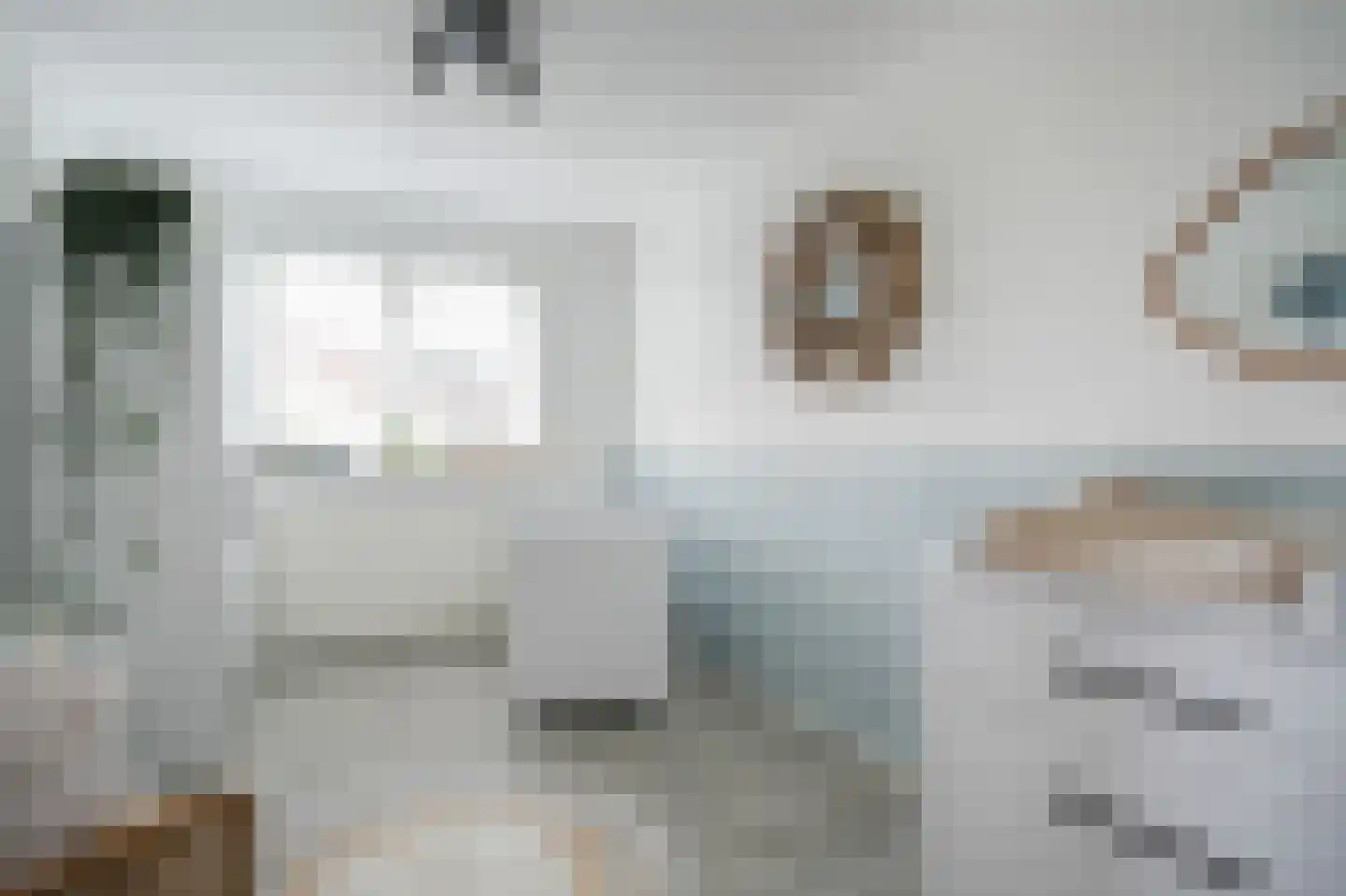 De Polenkamp 11 Horssen thumbnail 27