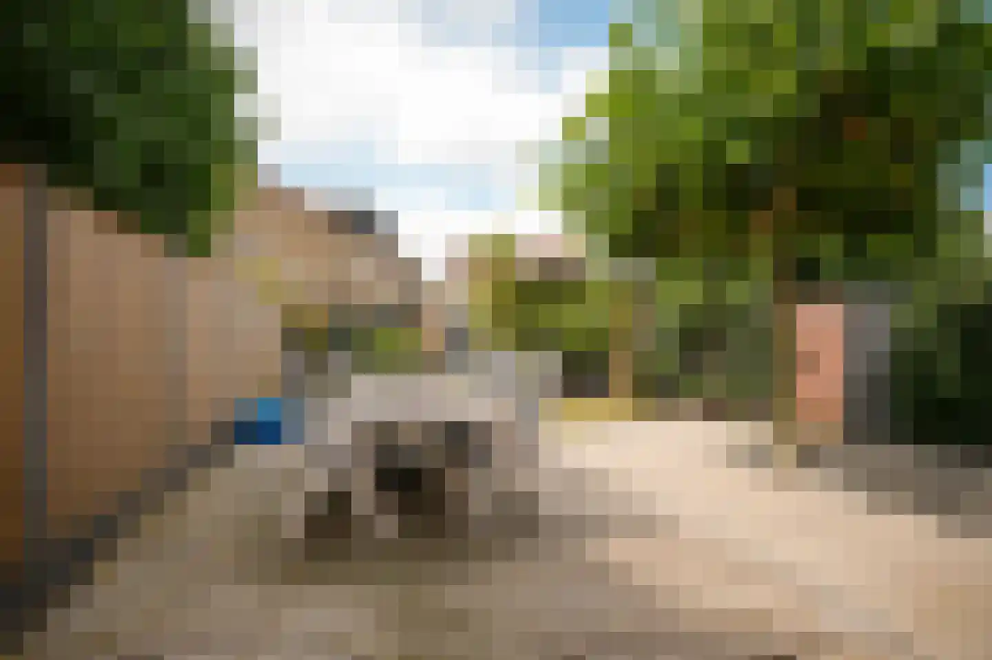 De Polenkamp 11 Horssen thumbnail 37