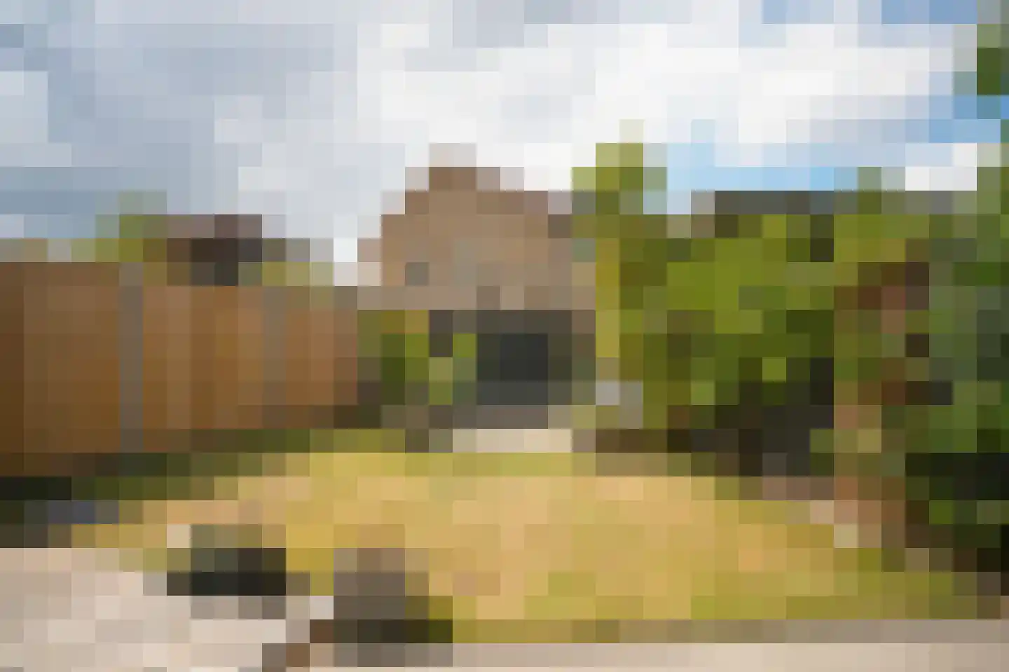 De Polenkamp 11 Horssen thumbnail 38