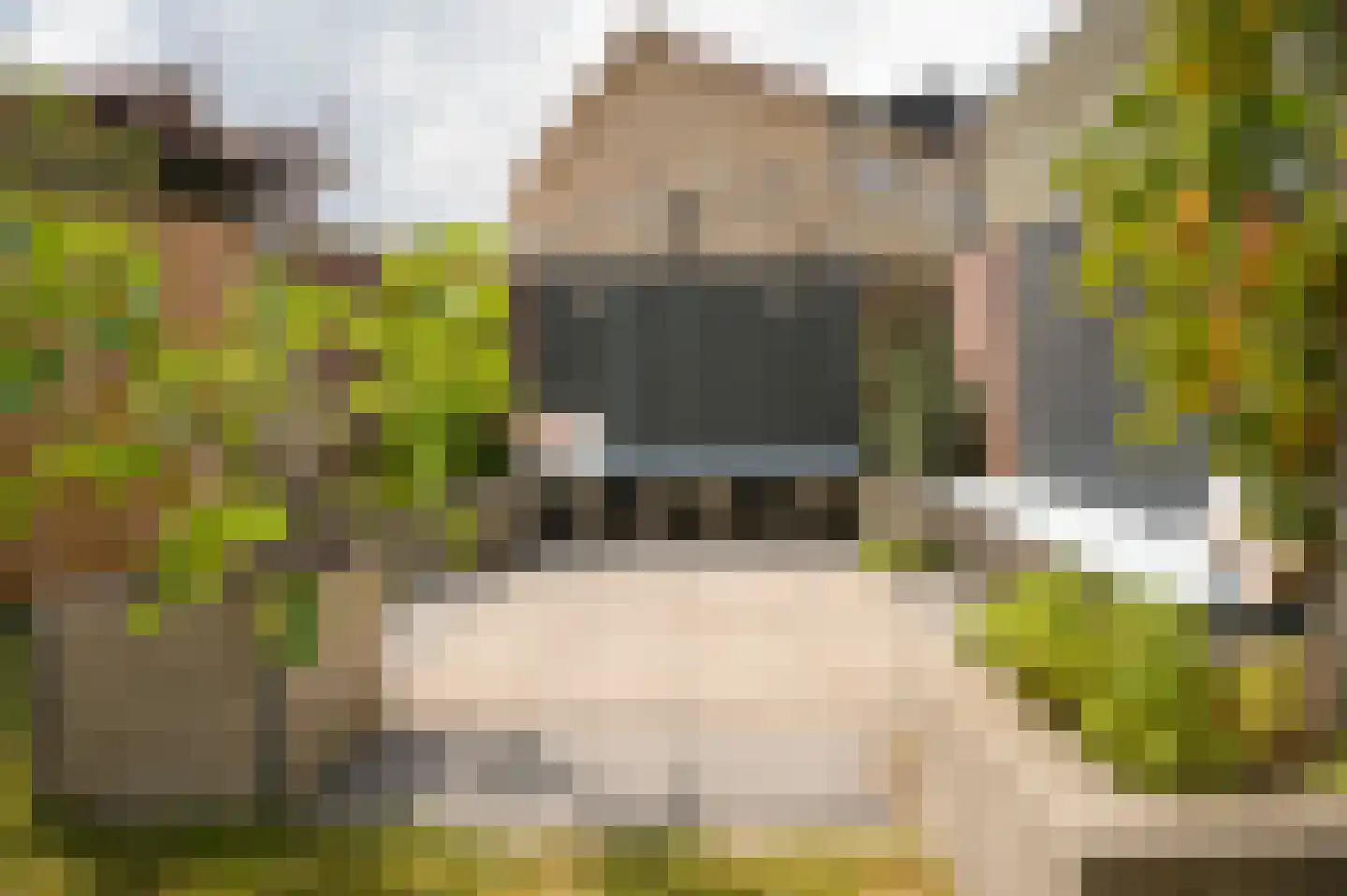 De Polenkamp 11 Horssen thumbnail 39