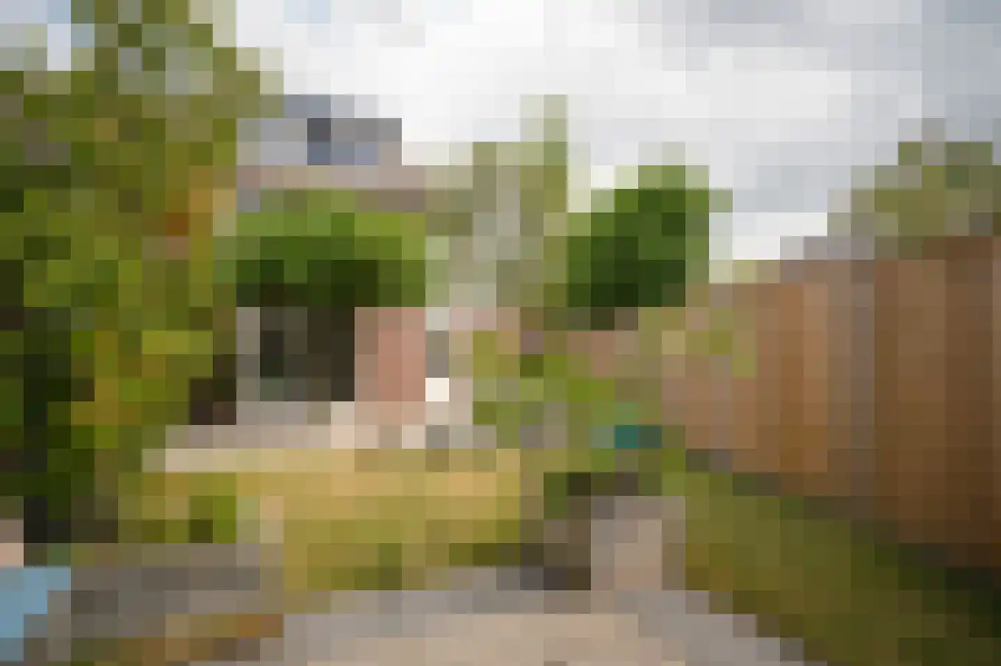 De Polenkamp 11 Horssen thumbnail 40