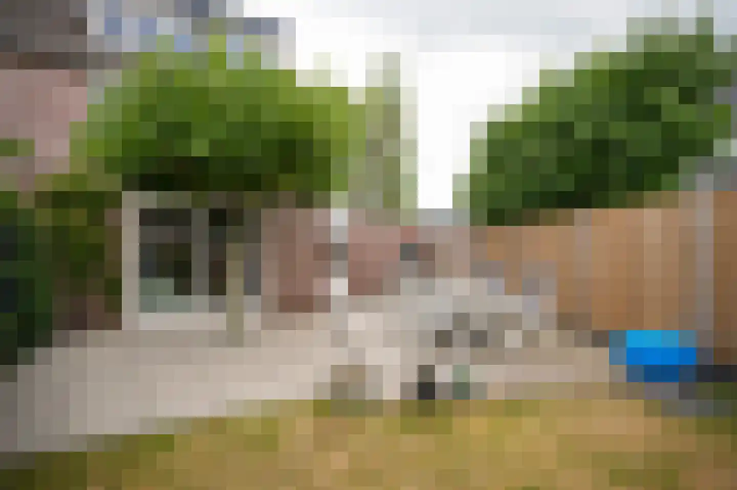 De Polenkamp 11 Horssen thumbnail 43