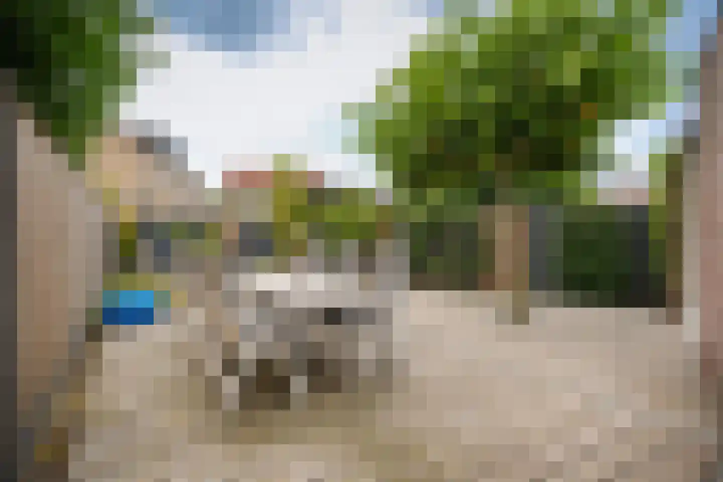 De Polenkamp 11 Horssen thumbnail 44