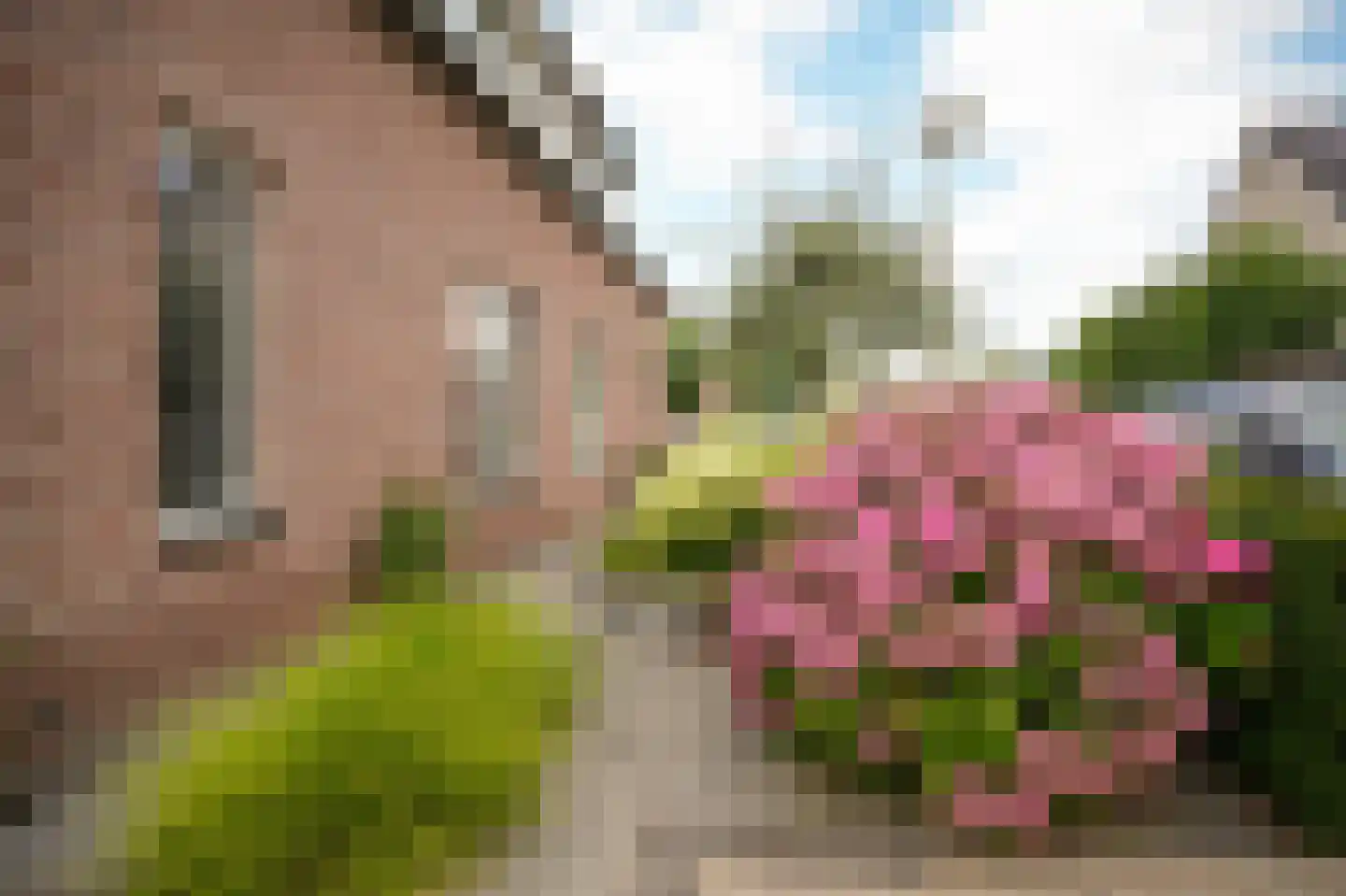 De Polenkamp 11 Horssen thumbnail 47