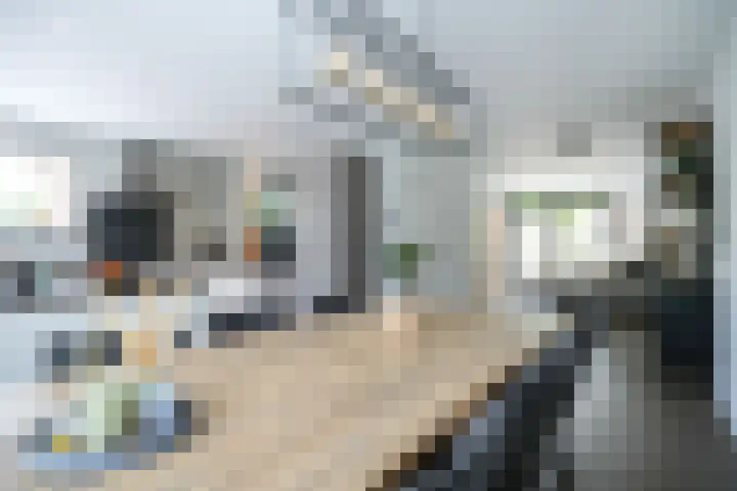 De Polenkamp 11 Horssen thumbnail 5
