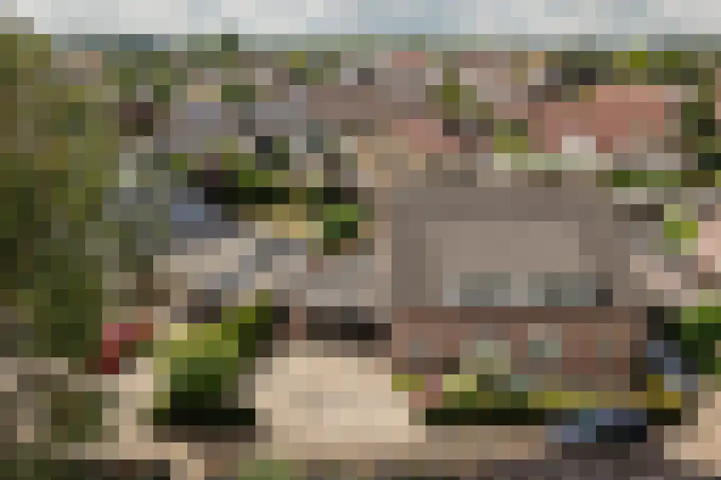 De Polenkamp 11 Horssen thumbnail 51