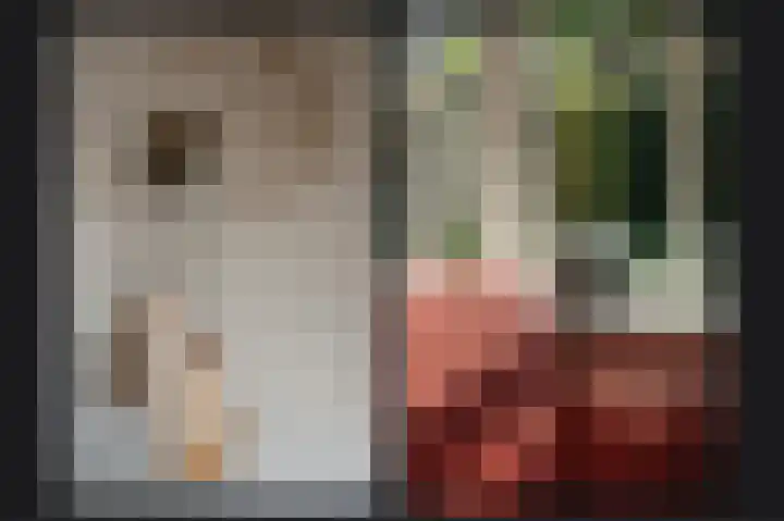 De Polenkamp 92 Horssen thumbnail 11