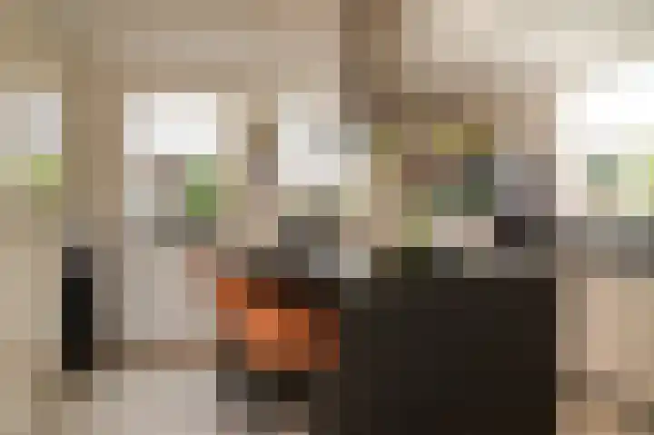 De Polenkamp 92 Horssen thumbnail 12