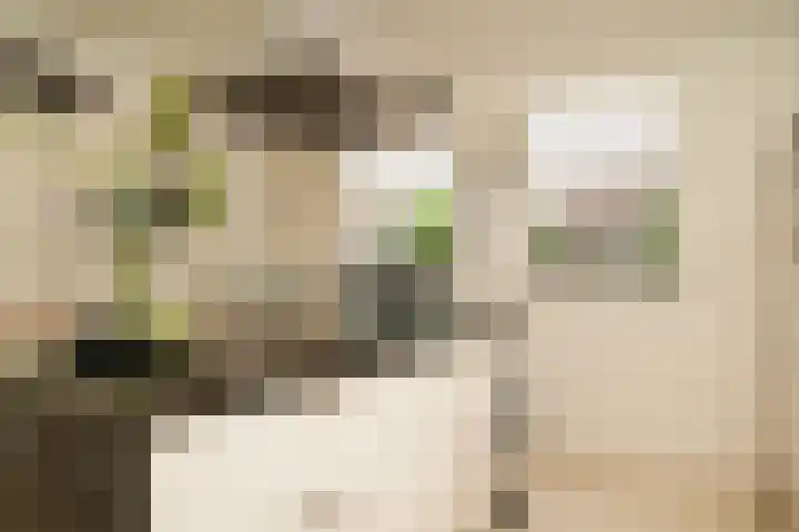De Polenkamp 92 Horssen thumbnail 13